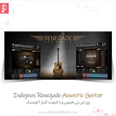 Indiginus Renegade Acoustic Guitar