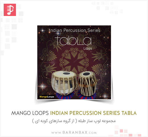 Mango Loops Indian Percussion Series Tabla