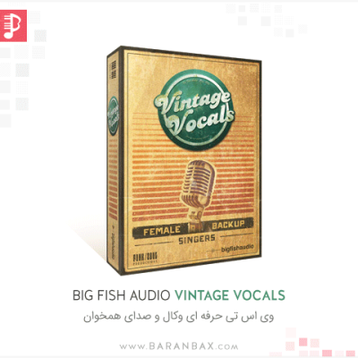 Big Fish Audio Vintage Vocals