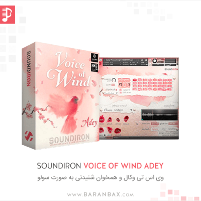 Soundiron Voice of Wind Adey