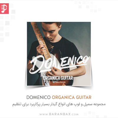DOMENICO Organica Guitar