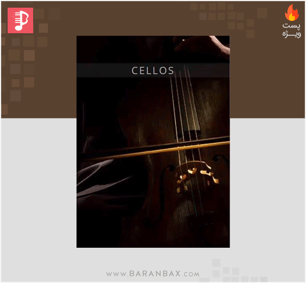 Auddict United Strings of Europe: Cellos