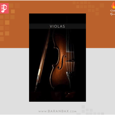 Auddict United Strings of Europe: Violas