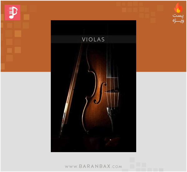 Auddict United Strings of Europe: Violas