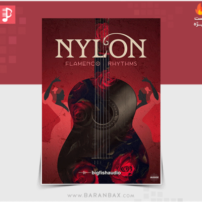 دانلود مجموعه لوپ ریتم و ملودی گیتار فلامنکو Big Fish Audio Nylon Flamenco Rhythms
